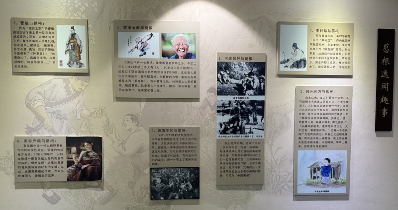 1745219414428521.jpg 葛根趣事.jpg