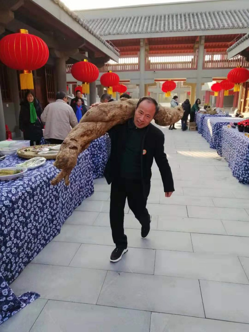 1745371946761236.jpg 微信圖片_20250324170146.jpg