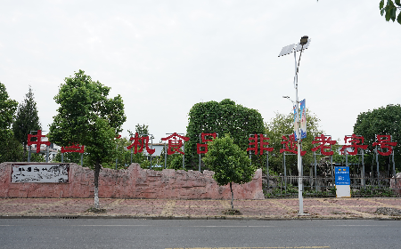 當(dāng)定制葛粉時，我們真正在選擇什么？