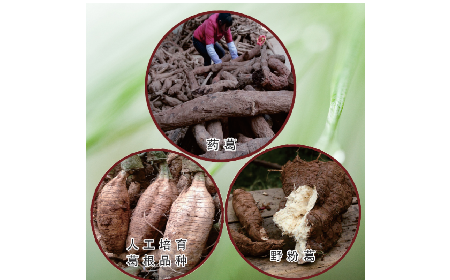 買(mǎi)葛粉是買(mǎi)野生的好？還是野生有機(jī)的好？