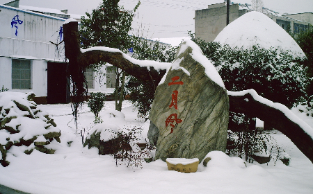 二月風(fēng)致老友：一碗葛根粉的牽掛，農(nóng)博會上的重逢之約二月風(fēng)盼老友：農(nóng)博會上，再續(xù)葛粉情緣